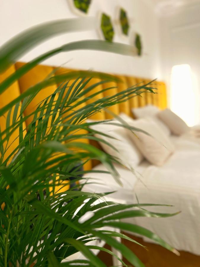 Studio 118 - A Luxury Place,10Min Walk To City Center ทิมิชัวรา ภายนอก รูปภาพ
